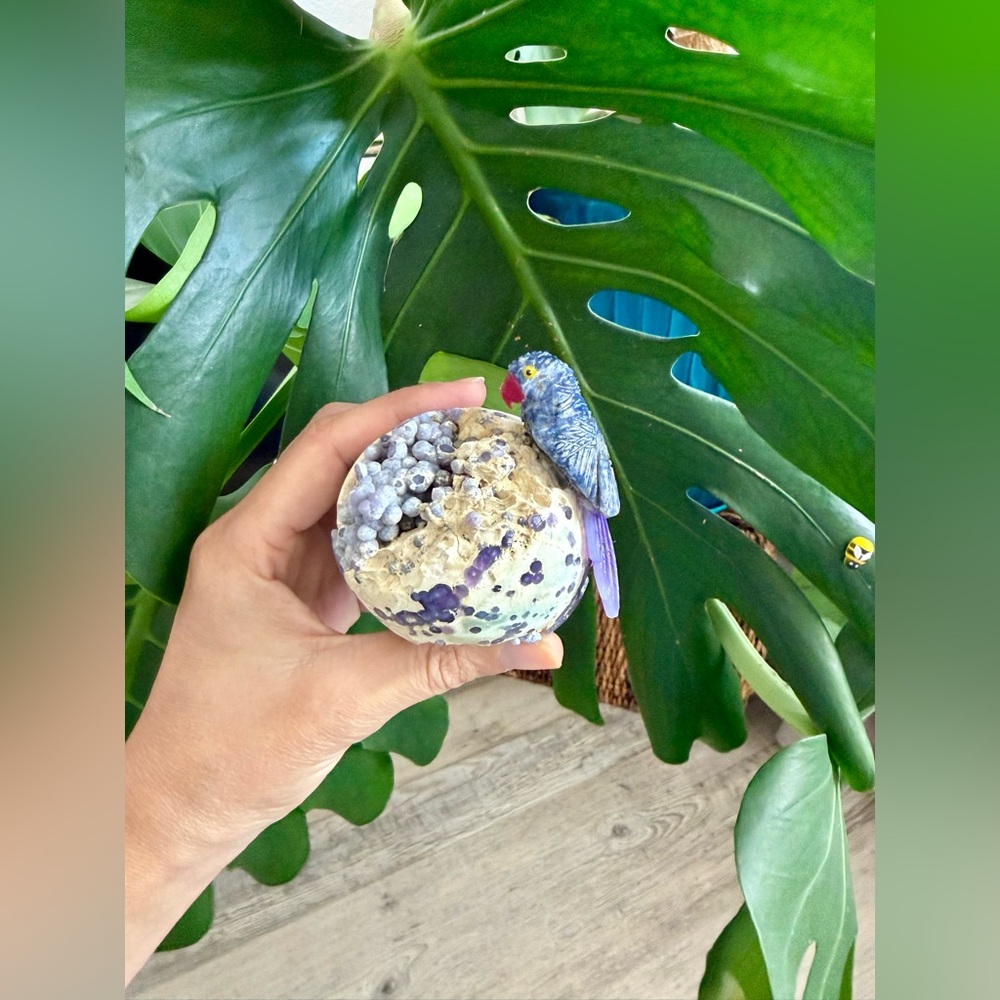 Parrot carving on Grape Agate Egg || High quality ~ collectible figurines